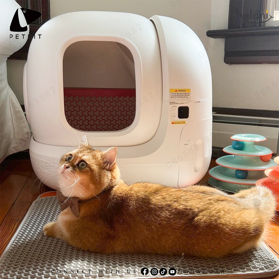 Máy vệ sinh tự động cho mèo Pura Max