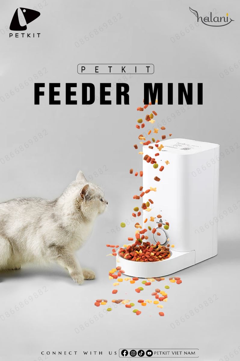 Máy ăn petkit feeder mini khay inox 8.jpg