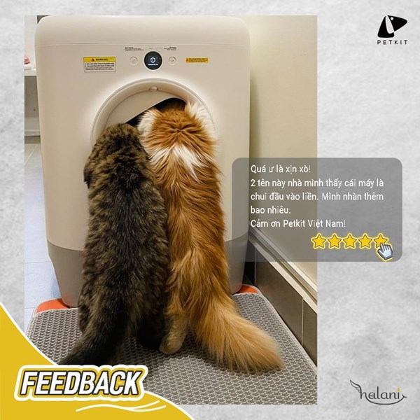 Khách hàng nói gì về Petkit, Feedback của khách hàng về sản phẩm Petkit Việt Nam