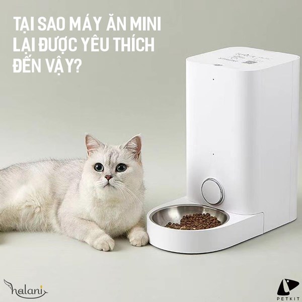 VÌ SAO MÁY ĂN TỰ ĐỘNG MINI LẠI ĐƯỢC ƯA CHUỘNG ĐẾN VẬY?