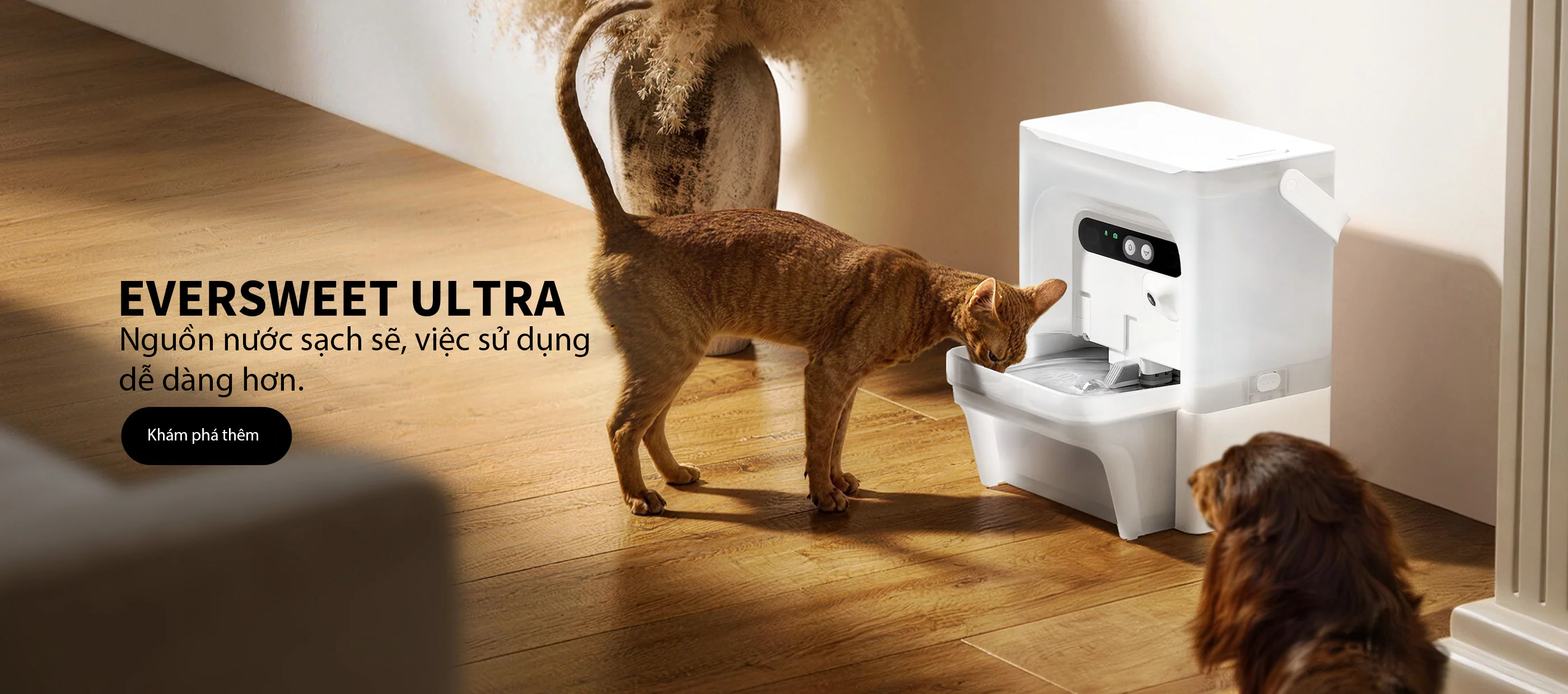 Máy nước Petkit EverSweet Ultra camera