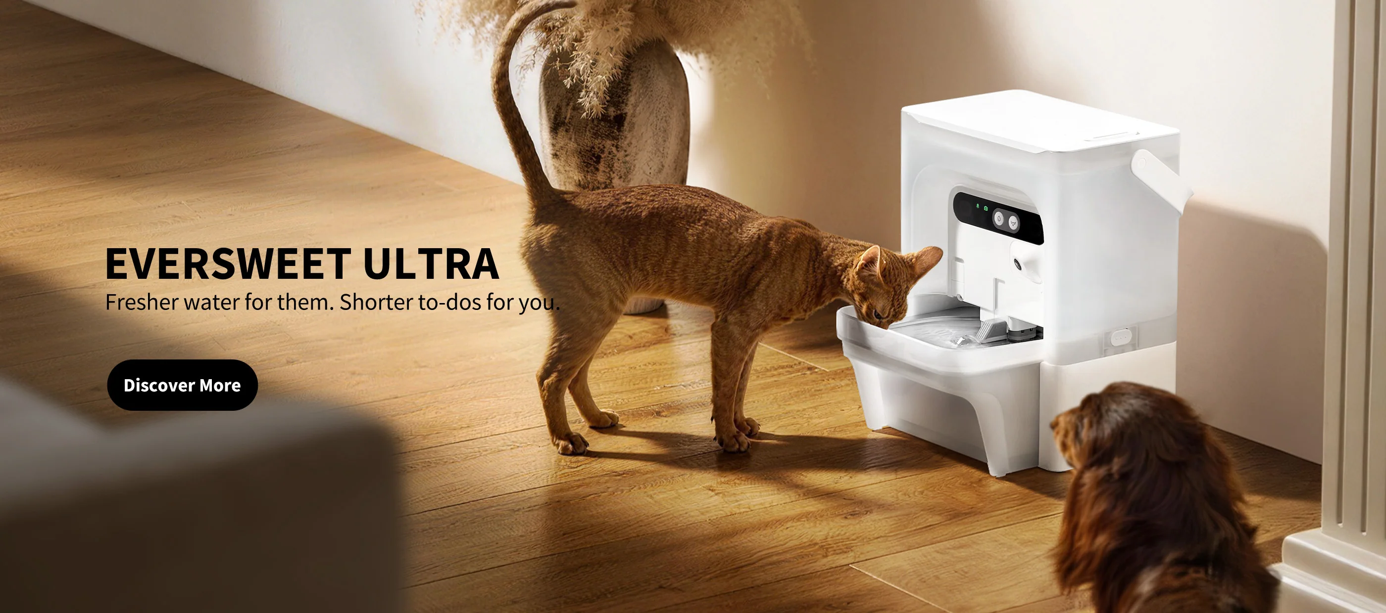 Máy nước Petkit EverSweet Ultra camera